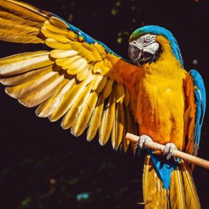 how to create happiness